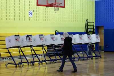 Voting rights experts skeptical over Trump pledge of 1,000 election monitors
