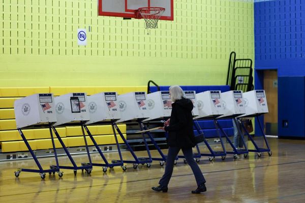 Voting rights experts skeptical over Trump pledge of 1,000 election monitors