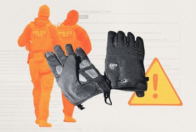 ICE gloves show Trump's revenge failure
