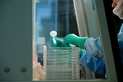 Gene Therapy for Glycogen Storage Disease Type Ia Wins Accelerated Approval Priced at 2.7 Million Dollars