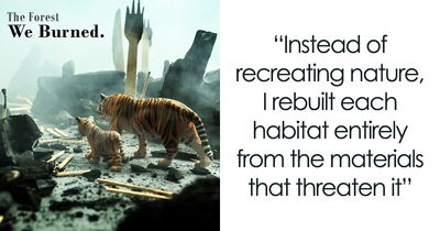 This Photographer’s Miniature Worlds Show What Happens When Nature Is Replaced With Waste