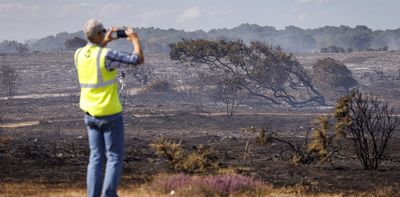 After a wildfire Britain’s moors and heaths can be green again within weeks – but the real recovery takes much longer