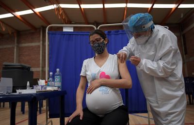 Australian Data Put the Maternal RSV Vaccine at 78 Percent Effective Against Infant Lung Infection Admissions