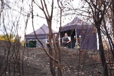 Murder investigation launched after human bones found in London woodland