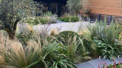 'Green on Green' Gardens Are Trending — Here's How Landscape Designers Keep Things Looking Interesting All in This Color