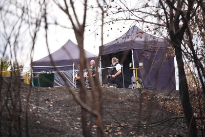 Murder probe launched after human bones uncovered by London wildfire