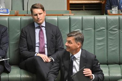 Andrew Hastie is effective in attacking One Nation, unlike his Liberal colleagues. So why won’t they use him?