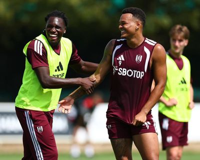 Premier League team news: predicted lineups for the opening weekend