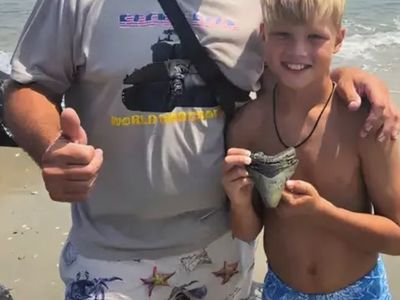 11-year-old boy finds tooth of an enormous predator to ever swim Earth’s oceans on New Jersey beach; only five had been found before