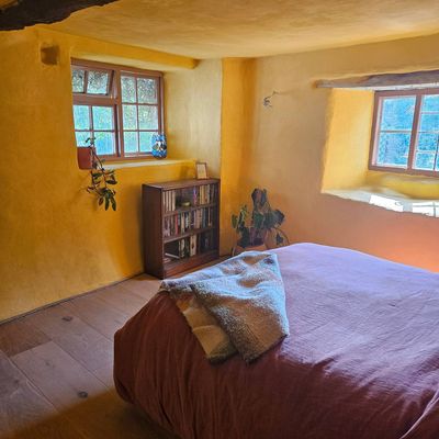 I transformed my gross timber windows for less than £50 — this is how they became a thing of beauty over a weekend