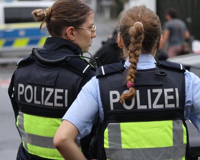 Gun stash in German forest believed to be linked to Russia, say reports