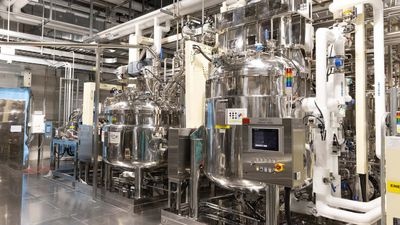 Inside The $2 Billion Battery Factory Making Cells For Tesla And Toyota