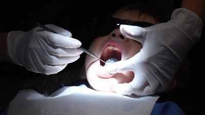 Labor putting bite on rivals with free dental pitch