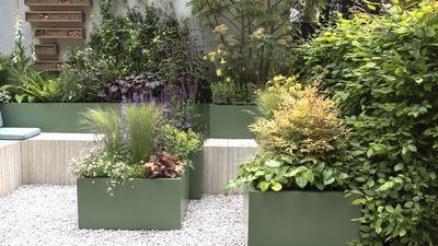 3 Simple Things to Do in August to Give Your Container Garden a Late-Summer Lift