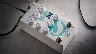 “There's real springs inside the oversized enclosure. Confirm it by giving the unit a gentle kick!”: Crazy Tube Circuits White Whale Junior review