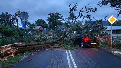 Storms and gales hit Poland: homes flooded, trees down and thousands of emergency callouts