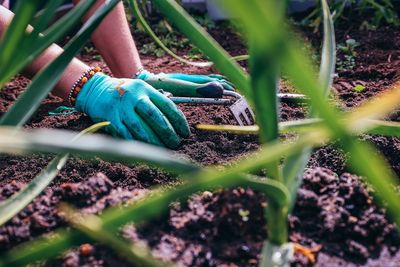 7 Plants You Should Think Twice About Touching With Bare Hands