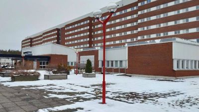 A Swedish hospital stores winter snow under wood chips and pumps its meltwater through the building in summer; in its first year it supplied 93% of cooling demand