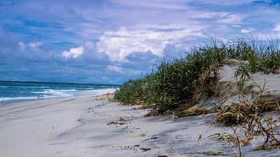 In the early 1960s, developers sold 5,850 lots for a private resort on Assateague Island; one five-day storm wiped out nearly every house and helped turn it into a national seashore
