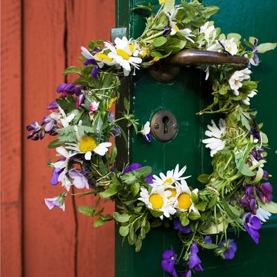 David Domoney doesn’t want you to throw your plant prunings away this month – there’s a clever way to turn them into something beautiful