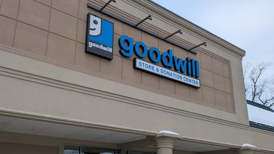 ‘What the thrift gods will bestow’: Minnesota woman thought she had found curtains in a Goodwill bin, only for her $10 purchase to be worth $1000
