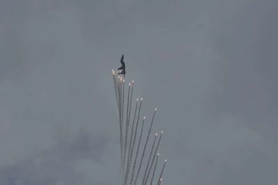 IAF is not against theaterisation: Air Chief Marshal Singh