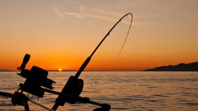 Massachusetts fishermen first thought they hooked a shark. Then the fight intensified enough to leave holes on the boat: ‘Catch of a lifetime’