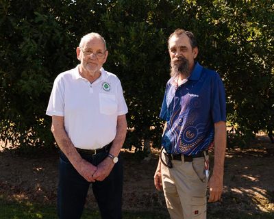 Could the macadamias hidden in Queensland’s rainforests be the key to saving ‘the world’s finest nut’?