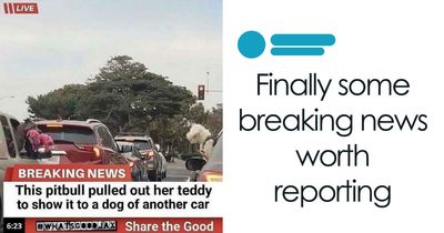 Sometimes The Internet Gets It Right, Here Are 63 Oddly Wholesome Images To Prove It