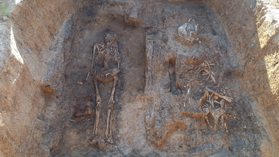 Archaeologists unearth a medieval nobleman buried with his horse and dog in a rare wooden tomb in Russia