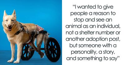 Former Chicago Tribune Photojournalist Creates One-Of-A-Kind Project For Overlooked Animals (11 Pics)