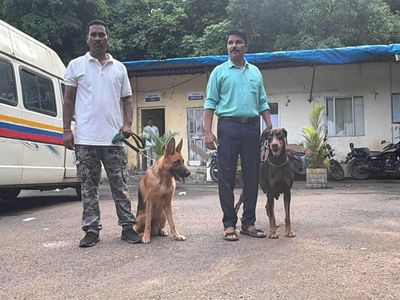 No more adoption homes: Retired police dogs to remain with force in Maharashtra