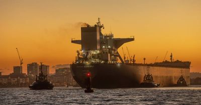 Put port back in public hands: Newcastle councillors