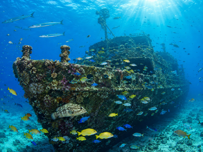 In 2002, Florida sank a 510-foot Navy ship off Key Largo; the USS Spiegel Grove became one of the world's largest purpose-built ship reefs