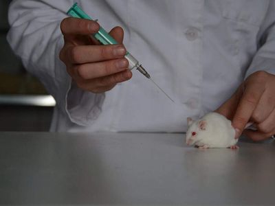 In 2014, NASA sent young and older mice into space; within 9 to 11 days, the younger ones began running group laps in zero gravity