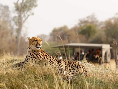 In 1997, couple started with 11 farms; decades later, their 67,000-acre reserve is home to more than 60 mammal species