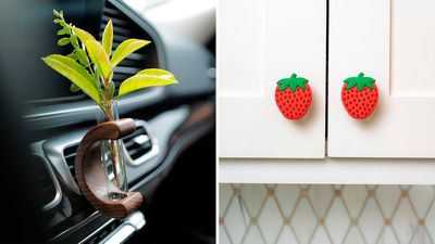 Amazon Keeps Selling Out of These 65 Kooky Things That Are So Genius & Cheap
