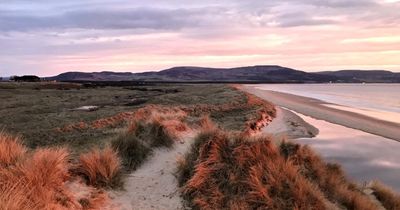 Police threat as 'rare plant vanishes' from Scottish beach earmarked for golf course