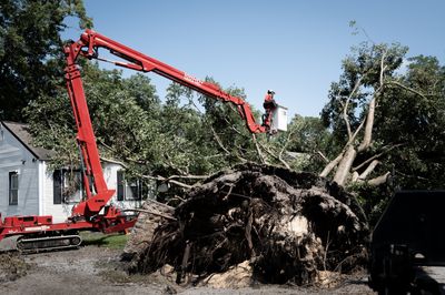 Twelve Days Dark: Gary's Blackout Becomes a Fight Over Money, Race, and Trees; Waits for NIPSCO to Deliver