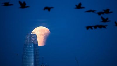 How to photograph the spectacular 96% 'blood moon' lunar eclipse tonight, August 27-28