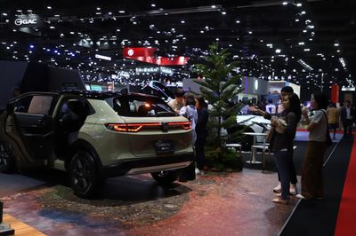 EV investment should have domestic strings attached