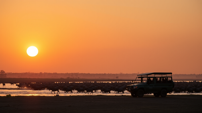 The Great Wildebeest Migration in Masai Mara: A Budget Safari Guide for Indian Travellers