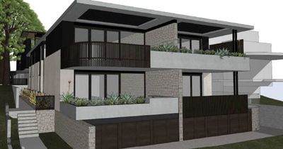 Townhouse or unit block? Council backs developer as neighbours cry foul