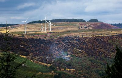 Country diary: South Wales’s summer of fires will linger long in the memory