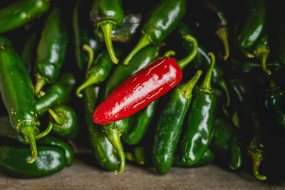 Jalapeño Salmonella Outbreak Hits 431 Cases Across 32 States, but the True Toll Could Be Higher