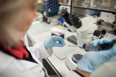 A Hybrid RNA Found Only in Women Was Long Blamed on Cancer, and It May Help Run the Immune System