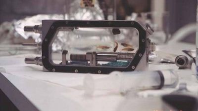 Four medaka fish flew aboard Columbia in 1994 to test whether vertebrates could reproduce without gravity; they laid 43 eggs and eight baby fish hatched in space