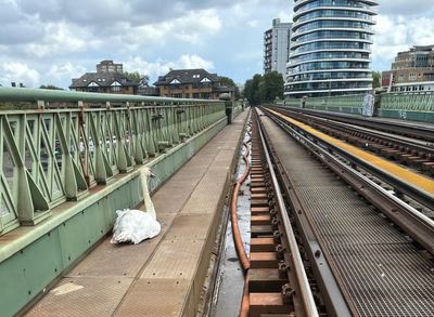 Swan on tracks sparks rush-hour delays as DLR line suspended