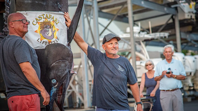 Massachusetts fishermen thought they had spotted a shark before landing a 1,260-pound blue marlin after a three-hour battle, coming just 142 pounds short of the world record