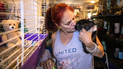 She lost a grandson and dozens of guinea pigs in a house fire; today, she runs a Massachusetts sanctuary caring for nearly 400 abandoned guinea pigs